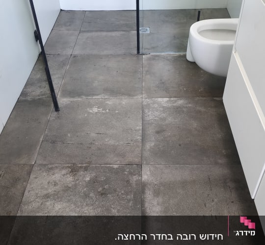 רצפת חדר אמבטיה עם אריחים אפורים ומקלחון זכוכית